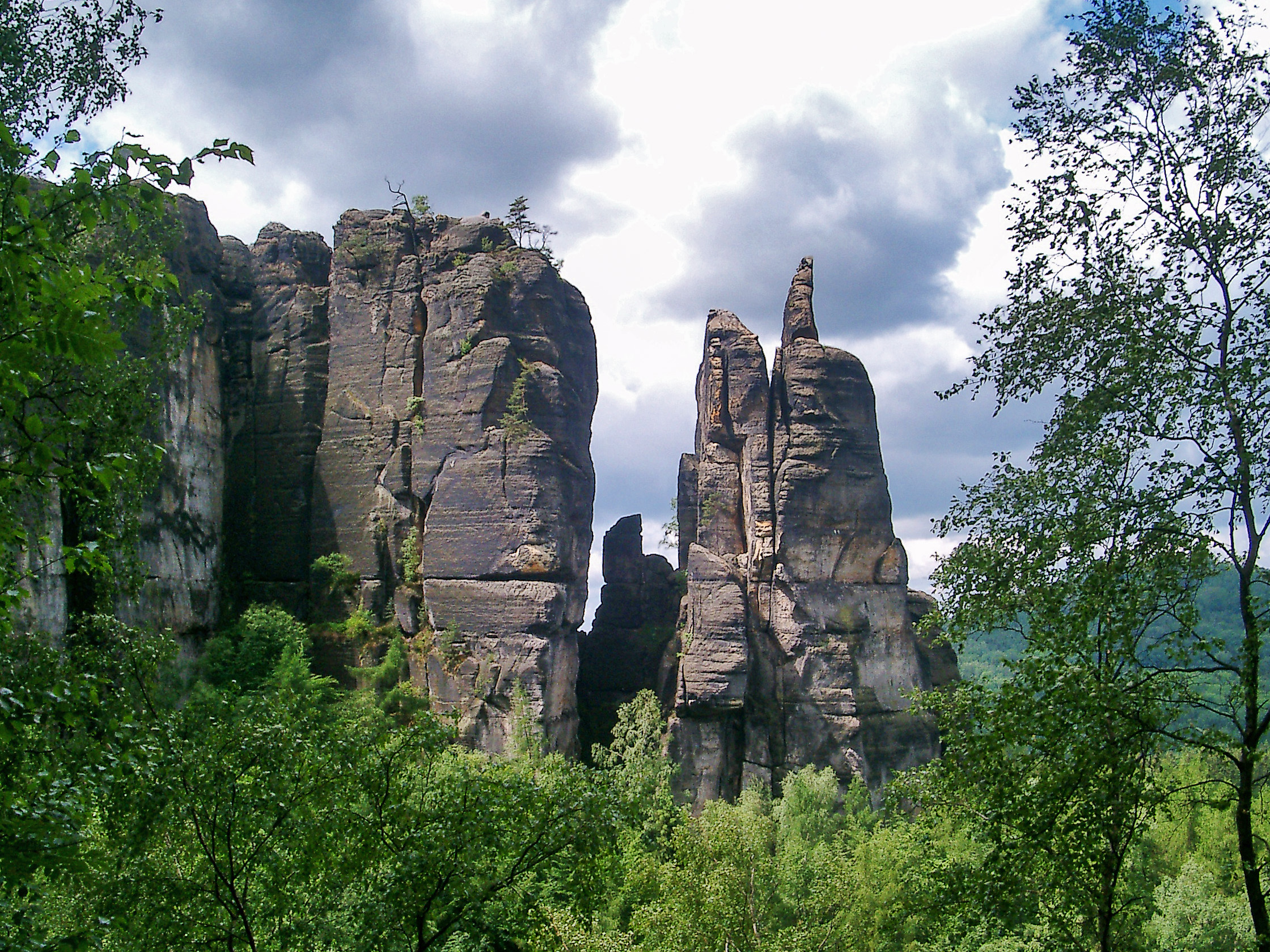 Brosinnadel im Elbsandsteingebirge